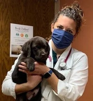 Dr Dallwig