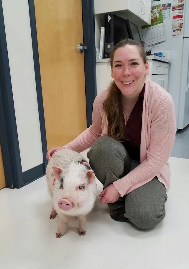 Dr Jen Marsden