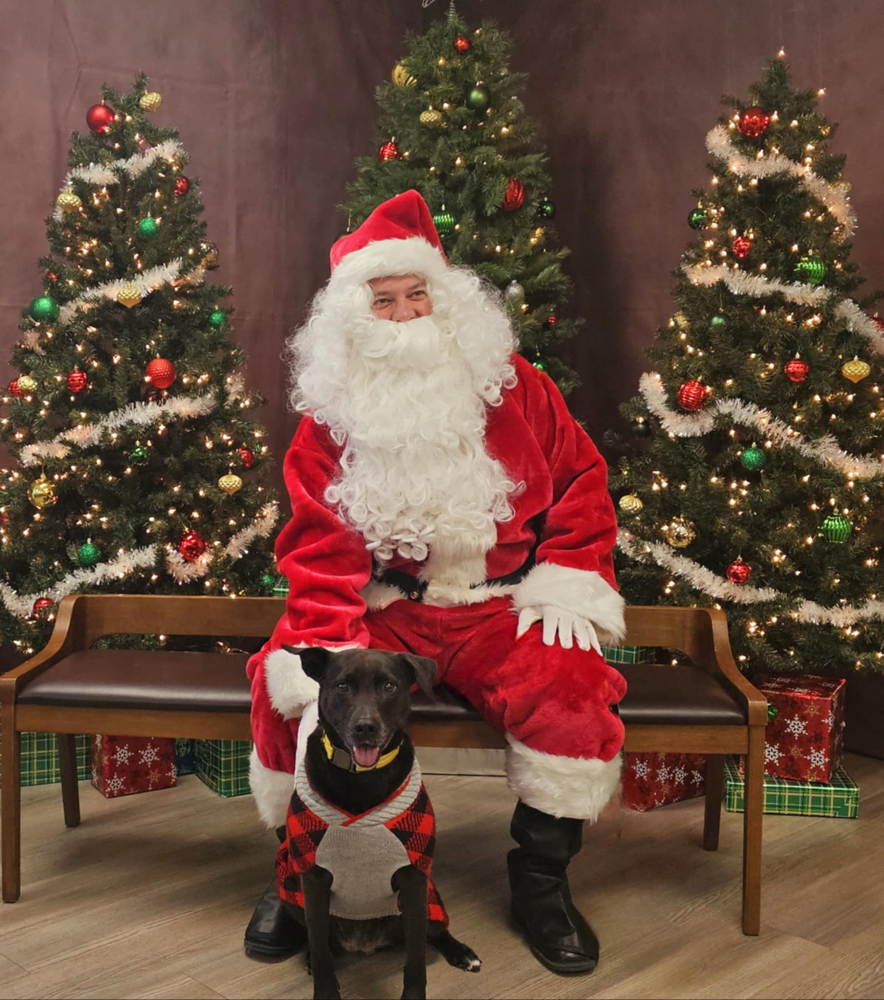 Santa and Black Dog