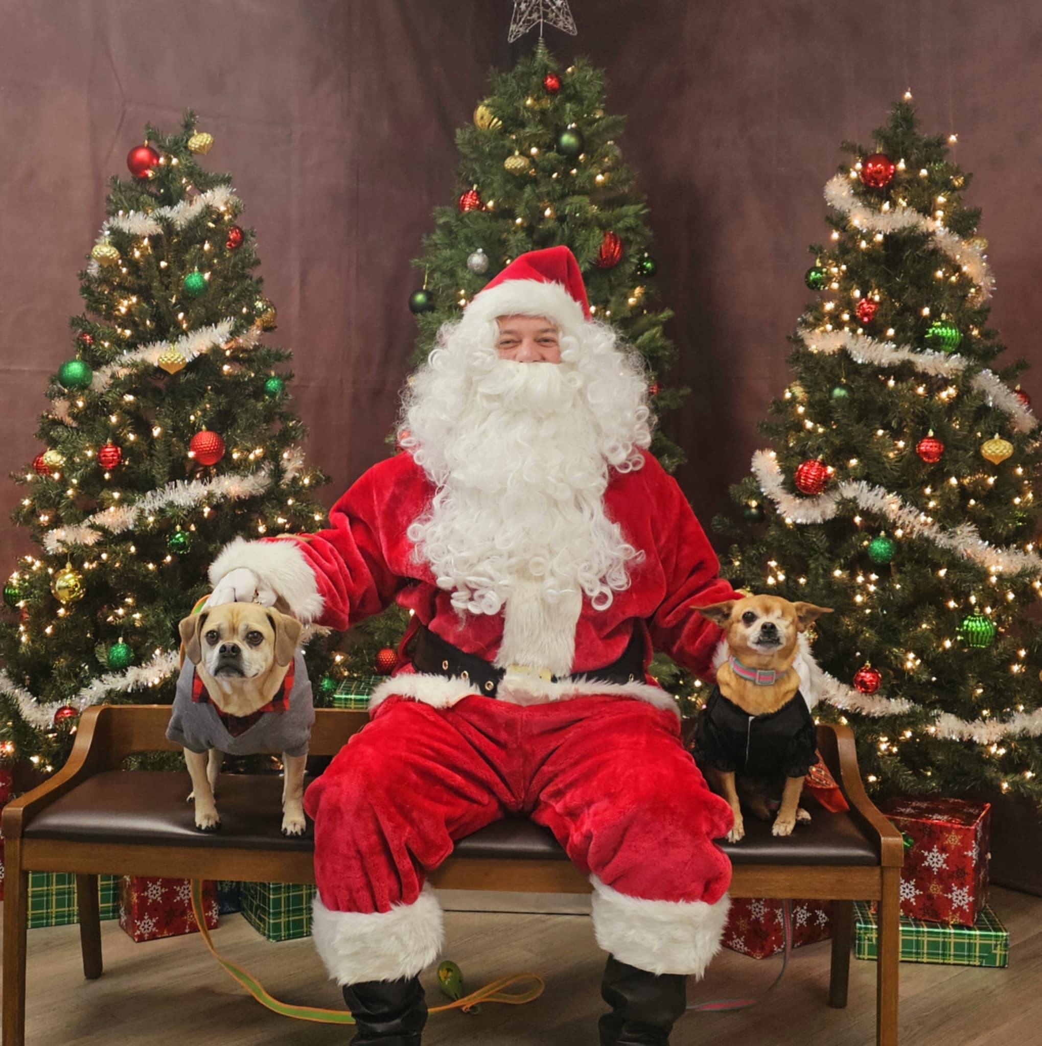 Santa and Puggles