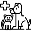 Canine and Feline Care