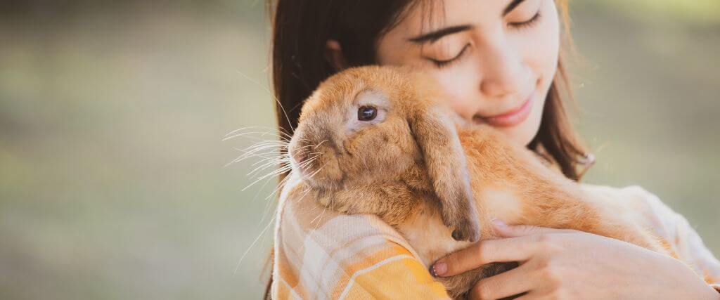 Hop Into Rabbit Care: A Comprehensive Guide for Bunny Owners